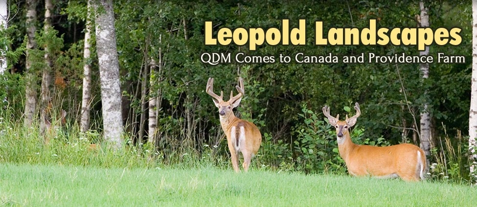 Leopold Landscapes