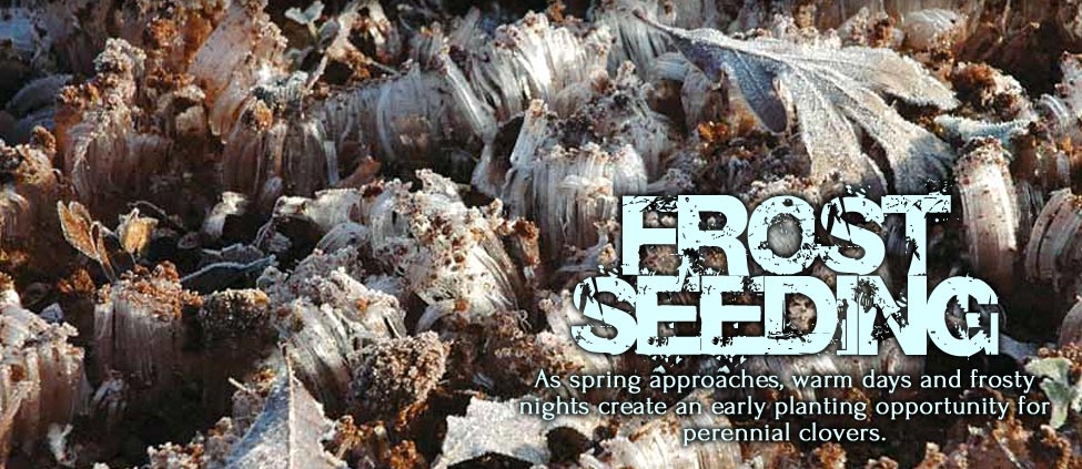 Frost Seeding
