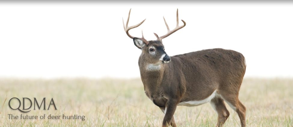 QDMA - The Future of Deer Hunting